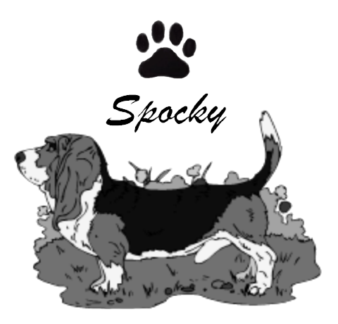 Woven Wood Shade Image